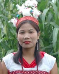 Koren
