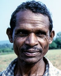 Gandia Odisha